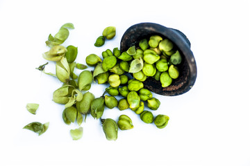 Ginjua or gingua or chick peas or chick pods or Egyptian beans in a clay bowl isolated on white.