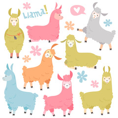 Cute llama set. Baby llamas alpaca, wild lama. Peru camel girl invitation elements cartoon vector set © YummyBuum