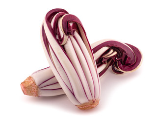 Radicchio Rosso di Treviso © Scisetti Alfio