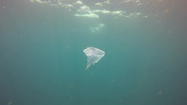 Plastic pollution underwater in ocean 