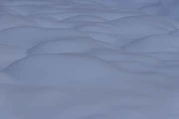 Fototapeta premium なだらかに起伏した雪面