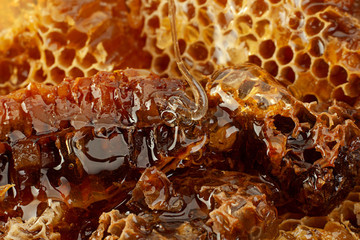 Honeycomb slice closeup background