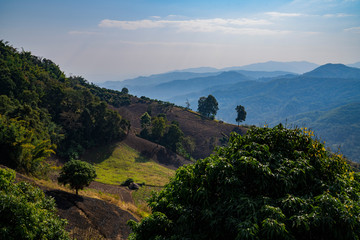 Panoramic top view of forest and mountains landscape Mae Salong, Thailand