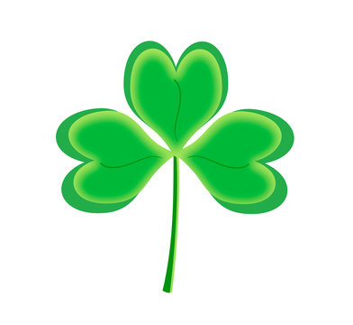Green shamrock isolated on white background. Irish clover, icon of flower and symbol of St. Patrick's Day.
