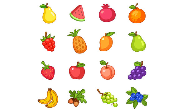Collection of fruits vector