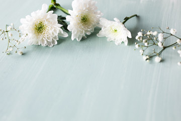 Weiße Chrysantheme Blume mit Schleierkraut auf türkisfarbenen Holz