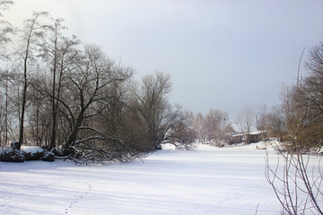 Fototapeta na wymiar Beautiful winter rural landscape.
