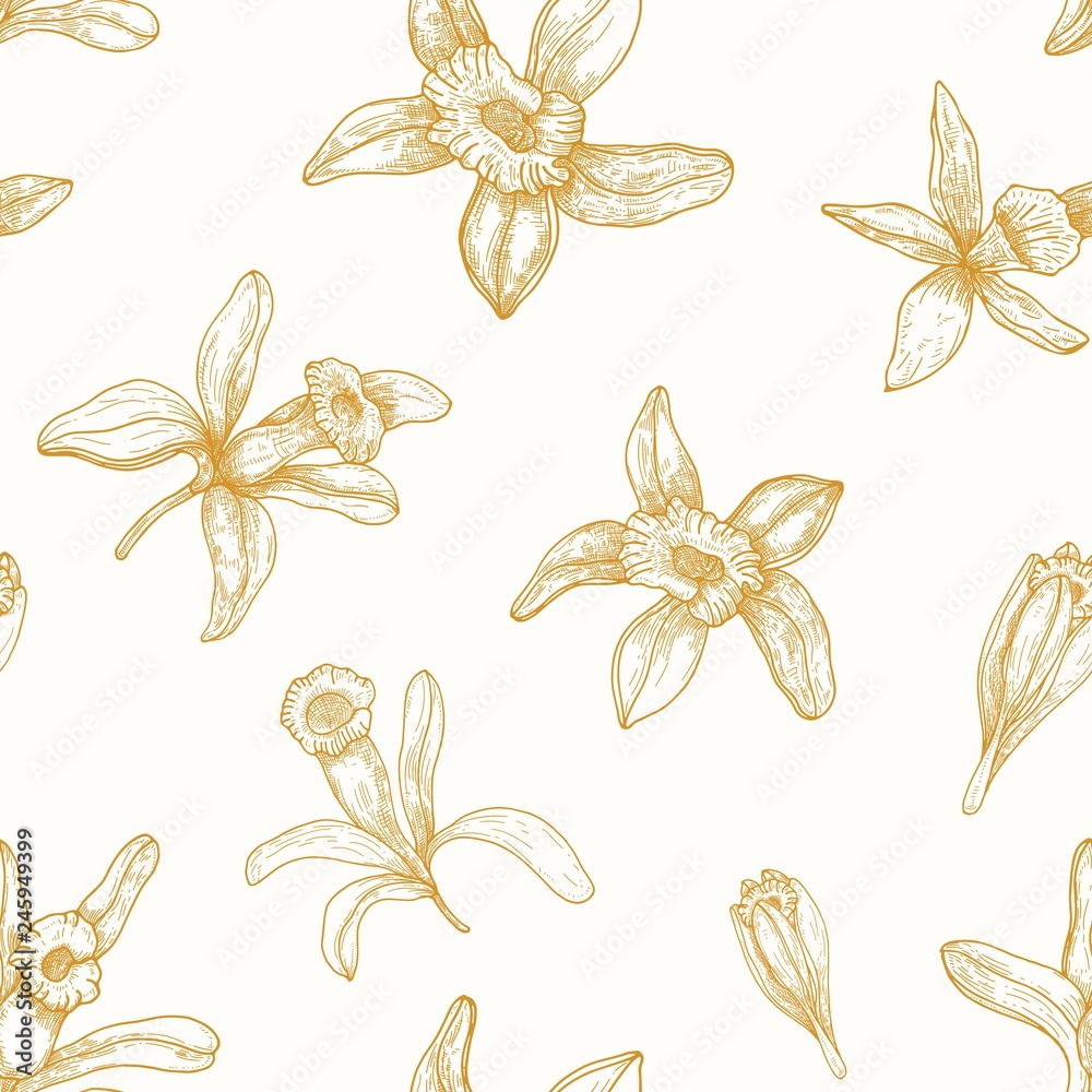 Aufkleber monochrome seamless pattern with blooming vanilla flowers drawn with contour lines on light backgrou