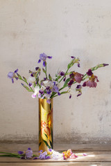 iris in vase on background old white wall
