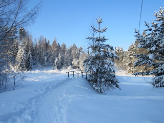 зима, снег, природа, солнечны день, мороз, деревья, ели, мост