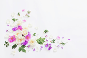 Obraz na płótnie Canvas summer flowers on white background