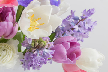 beautiful sprinf flowers on white background