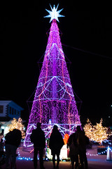 大きなクリスマスツリーのイルミネーション　A big lit-up Christmas tree