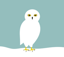 White snowy owl in snow.