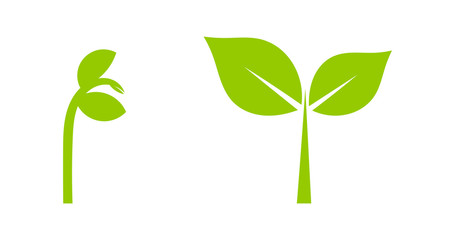Plant seedlings icons.