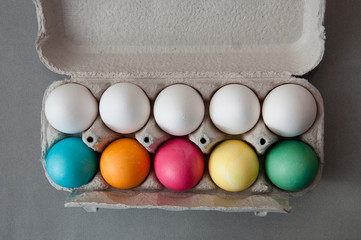 Easter eggs are multicolored and white in an egg tray. Top view. Preparation for the Easter holiday