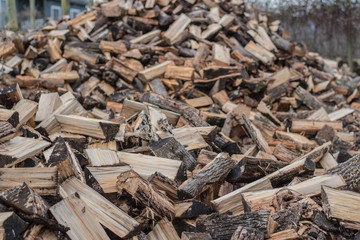 Fire Wood Pile