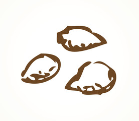 Series of vector illustrations of archaeological finds. Remains of linen, fruit stones and seeds