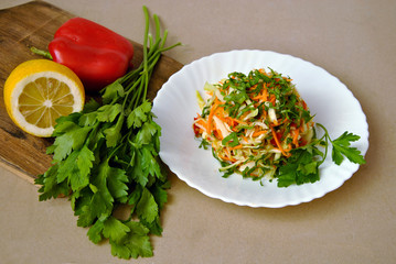 A multicolor salad of fresh vegetables and greens on a white plate and lemon, pepper and parsley next to it.