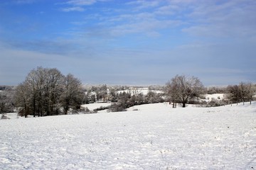 Fototapeta na wymiar paysage en hiver.