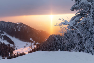 Winter auf Grenchenberge bei Grenchen - Solothurn