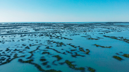 Aerial view of swamps