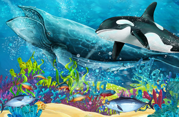 cartoon scene with whale and killer whale near coral reef - illustration for children
