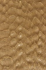 Patterns of clear sea water