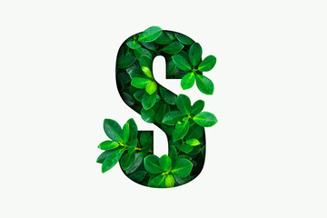 Nature concept alphabet of green leaves in alphabet letter S