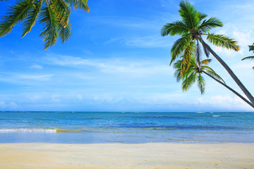 Fototapeta na wymiar Caribbean sea and green palm trees on white tropical beach.