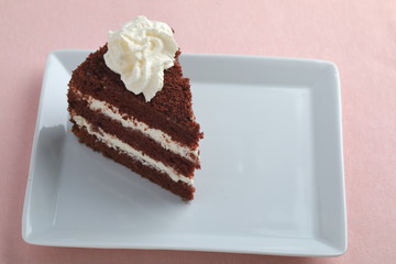 Chocolate cake on a white dish