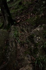 On the Edge with Nature