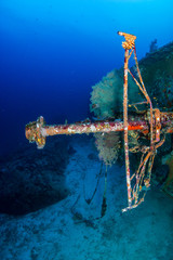 Naklejka premium A large, underwater shipwreck in a tropical blue ocean