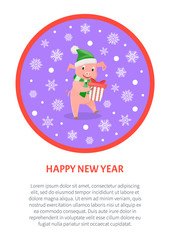 Pig with present Happy New Year snowflakes postcard. Text under round illustration on white. Piglet horoscope symbol with gift box vector isolated