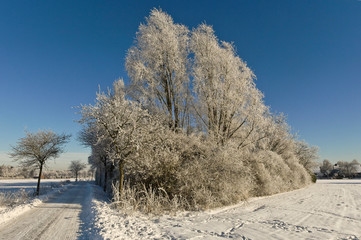 Winter am Niederrhein