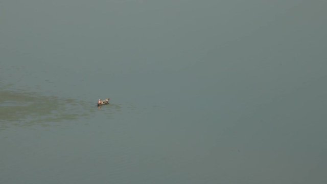 Shkod&euml;r lake montenegro