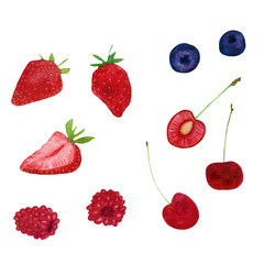 summer fresh sweet strowberry raspberry blueberry collection