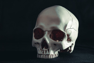 skull in the dark