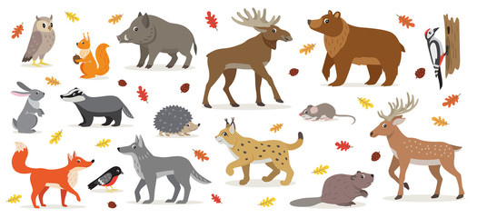 Estores personalizados con tu foto Big set of forest woodland animals isolated on white, owl, squirrel, hare, bear, fox, wolf, badger, hedgehog bullfinch, moose, deer, lynx, boar beaver colorful woodpecker and small mouse vector
