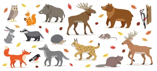 Schapenvacht deken met patroon Bosdieren Grote reeks van bos bos dieren geïsoleerd op wit, uil, eekhoorn, haas, beer, vos, wolf, das, egel goudvink, eland, hert, lynx, zwijn bever kleurrijke specht en kleine muis vector