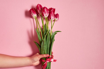 Woman hand with bouquet of tulips on pink pastel background, copy space. Spring minimal concept. Womens Day, Mothers Day, Valentine's Day, Easter, birthday. Nature background. Flat lay, top view