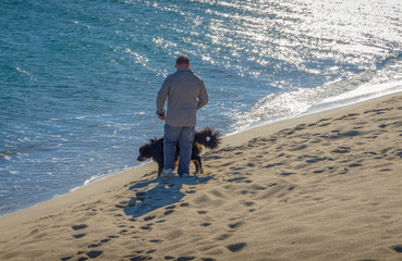 Friendship concept, man and his dog walking on beach.