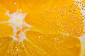 orange fruit close-up macro