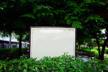 the whiteboard at the park in university among the trees