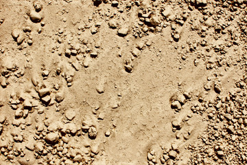 Wet yellow dusty sand background. Wet desert after rain natural surface texture.