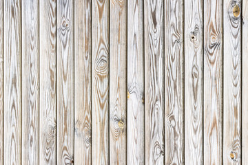 Fototapeta premium White gray rustic wooden plank. Parallel desks background. Natural tree growth rings and knots pattern.