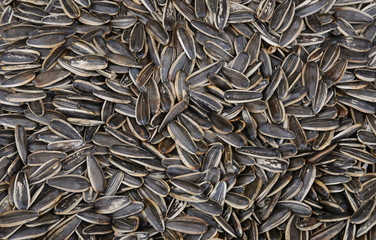 sunflower seeds background
