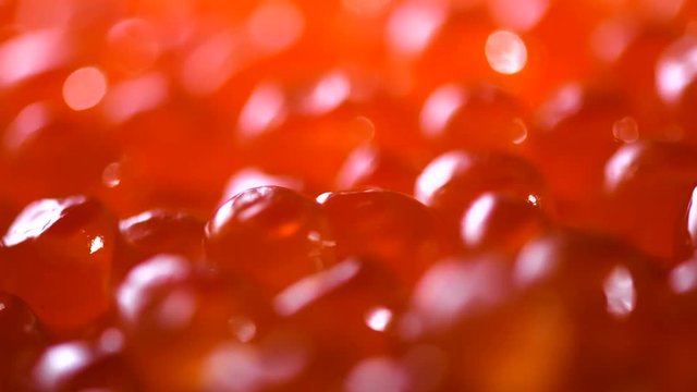 Salmon caviar rotated background. Closeup trout caviar. Seafood. 4K UHD video footage. 3840X2160