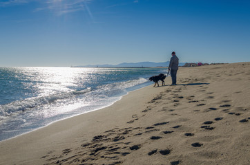 Friendship concept, man and his dog walking on beach.
