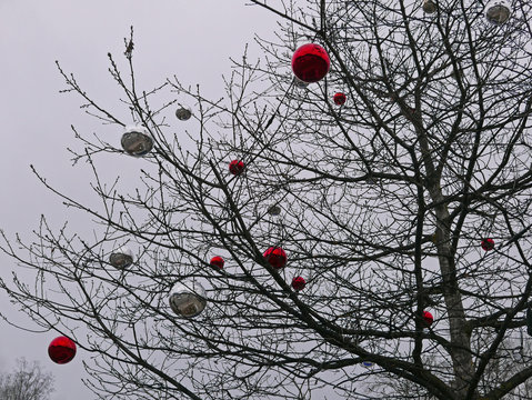 malinconica immagine invernale di rami di albero spogli con palline di natale appese
